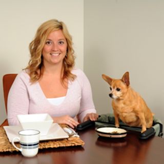 Dog High Chair Lets Your Dog Eat at the Table with You   1800PetMeds