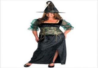 Plus Size Emerald Witch Plus Size Adult Halloween Costume  Plus Size 