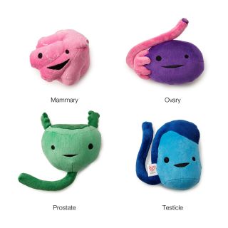 REPRODUCTIVE PLUSH ORGANS  stuffed breast, breast toy, prostate 