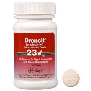 Droncit Pet Wormer for Dogs & Cats   1800PetMeds