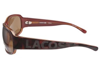 Lacoste 12632 Brown  Lacoste Sunglasses   Coastal Contacts 