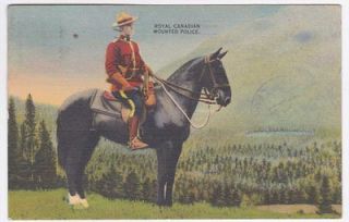 Royal Canadian Mounted Police on Horse 1940 Postcard