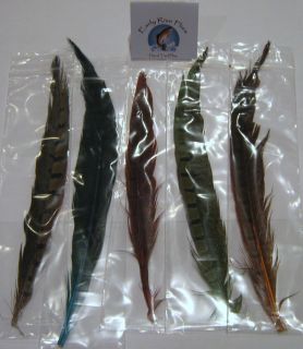   Sports  Fishing  Fly Fishing  Fly Tying Materials & Tools