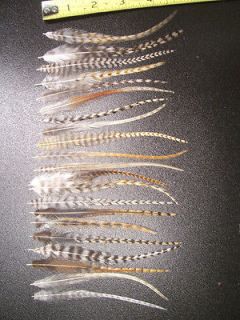 21 WHITING GRIZZLY CREE ROOSTER FEATHERS FOR HAIR EXTENSIONS METZ 