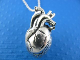Anatomical heart necklace on Rollo Sterling Silver Chain
