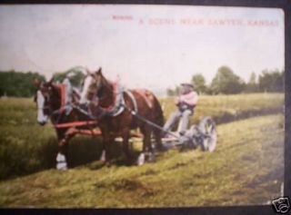 1909 POSTCARD FARM HORSE DRAWN MOWER SAWYER KANSAS KS