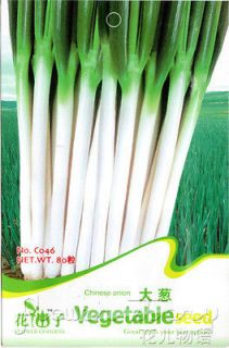 Sack 100 Onions Seed Green Heirloom Vegetable Seeds Magic Price