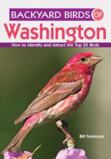 Backyard Birds of Washington How to Identify and Attract the Top 25 