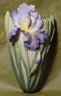bearded iris in Flower Bulbs, Roots & Corms