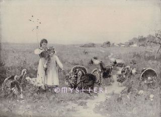 1894 ANTIQUE VINTAGE PRINT Little Girls Turkeys ​Daisy Field Flowers 