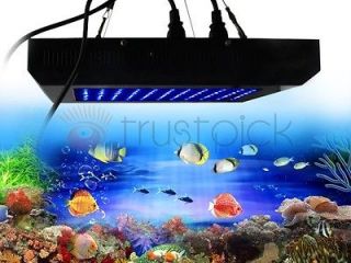   Coral Reef Tank White Blue LED Grow Light  BLACK Acquarium LED
