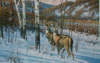 PRINT   Michael Sieve   Blue Wax Trail Whitetail Deer   543/850 