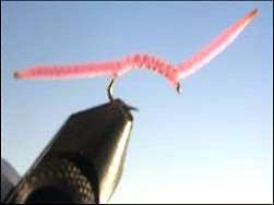 San Juan Worm Pink Assortment; 1 Dozen Trout Fishing Flies
