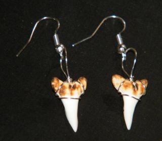   Earrings Silver Plated Wires Genuine Shark Tooth Dainty Kids Sizes