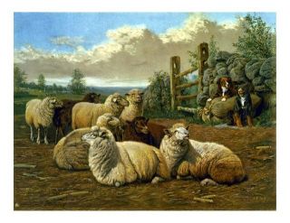 Vintage canvas art Faithful Shepherd Lambs Sheep Landscape 1897