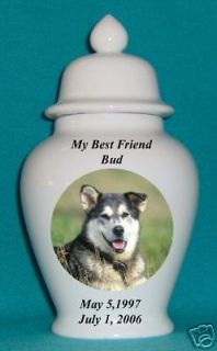 12 photo picture pet dog cat cremation memorial urn time