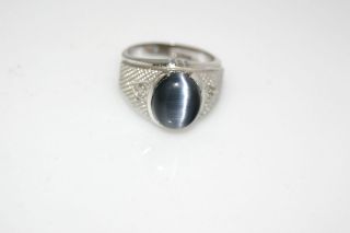 Mens Lab Created Cats Eye Man Ring ~ Rhodium Silver ~ Lifetime 