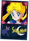   Anime Sailor Moon Trading Bling Chrome Sticker Card Usagi & Luna