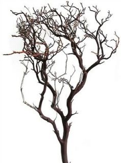 manzanita centerpieces branches manzanita branches  16 64