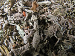 oz (112g) Klip dagga leaf (Leonotis nepetifolia)   relaxing minty 