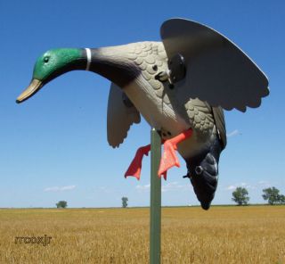 SUPER MOJO MALLARD DRAKE SPINNING WING DUCK DECOY WITH BUILT IN TIMER 