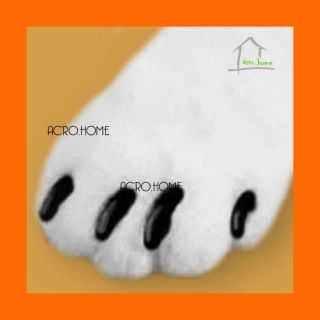 cat soft claws paws nail cap protect cover free glue