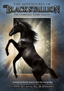 The Adventures of the Black Stallion   The Complete Third Season DVD 