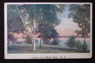 1922 birch tree greetings black river ny jefferson co returns