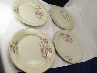 dresden warranted china plates sweet william flowers time left