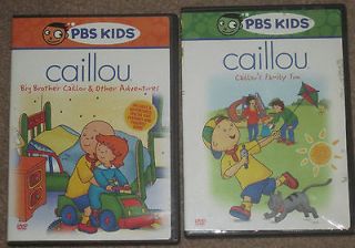 CAILLOU Lot 2 DVDs~Caillous Family Fun/Caillous Big Brother & Other 