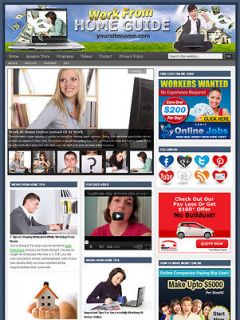established work from home guide niche website for sale from