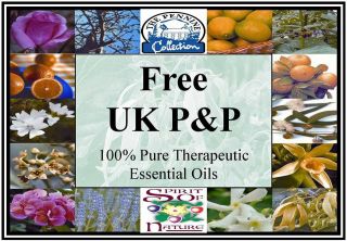 100ml Tea Tree Melaleuca alternifolia Essential Oil Free P&P