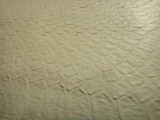 Snake Skin Leather Hide Real Size 47 x 4.5 Cream Color Great for 