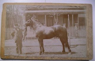 Inscribed Card Photo MAN WITH A FINE HORSE FOR SALE c. 1900