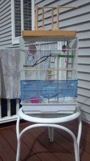 parakeet bird cage set  75 00 buy