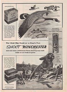 1955 WINCHESTER FIREARMS SHOT SHOTGUN SHELLS C E MONROE ART AMMO GUN 