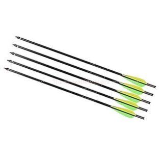   20 Crossbow Bolts Arrows with Field Point and Moon Nock   5/Pack