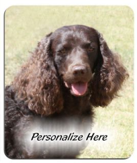 american water spaniel personalized mousepad  8 99