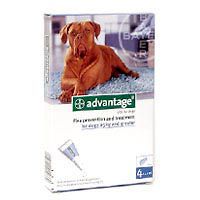 bayer advantage flea control xl dog 1 month supply time