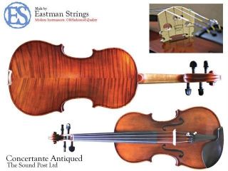 Eastman Intermediate 4/4 Full Size Violin, Concertante Antiqued