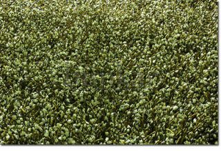 Pistachio Green Damru Shaggy Sparkle Sofa Rug / Tapis / Teppich. Wont 