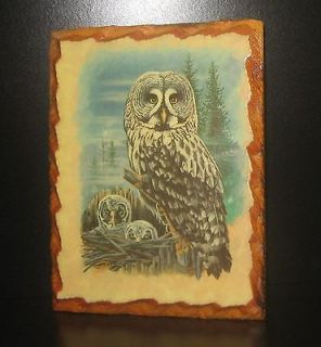 VTG HAND MADE OWL BURNT WOOD PLAQUE W BEAUTIFUL PRINT BY STAN MILLER 