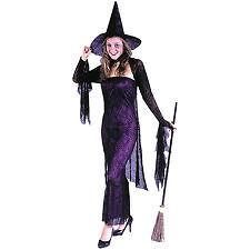   Witch HALLOWEEN Costume 4 Piece Adult Costume ***AWESOME COSTUME