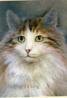 aceo norwegian forest cat art drawing ltd ed print time