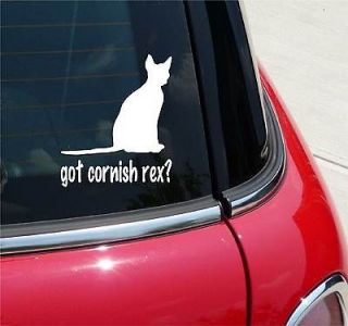 GOT CORNISH REX? CAT GRAPHIC DECAL STICKER VINYL CAR WALL