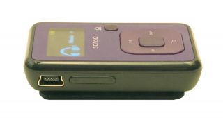 SanDisk Sansa Clip Purple 4 GB Digital Media Player