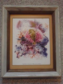   Purple Pink Watercolor Seahorse Anemone Framed Print White Wood Frame