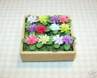   Flat of Zinnias for Potting Shed or Garden DOLLHOUSE Miniatures 1/12
