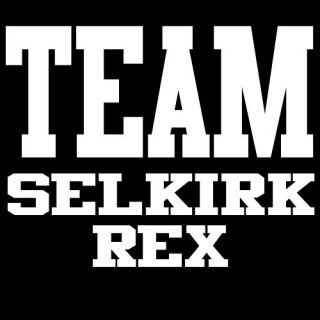 team selkirk rex t shirt cats cat kittens owners gift