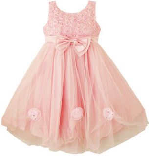 Girls Dress Pink Rose Pageant Tull Wedding Kids Boutique Size 2 10 NWT